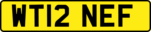 WT12NEF