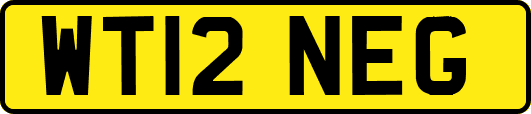 WT12NEG