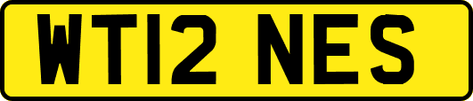 WT12NES