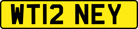 WT12NEY
