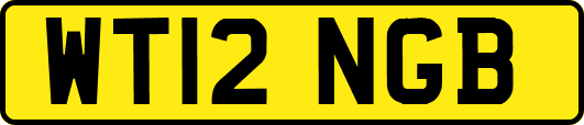 WT12NGB