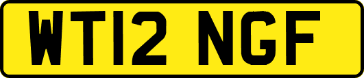 WT12NGF