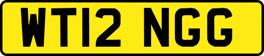WT12NGG