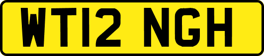 WT12NGH