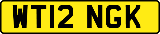 WT12NGK