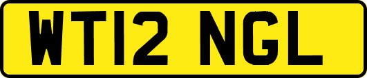 WT12NGL