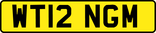 WT12NGM