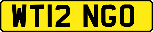 WT12NGO