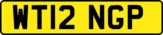 WT12NGP