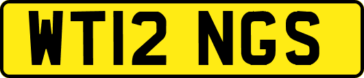 WT12NGS