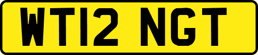 WT12NGT