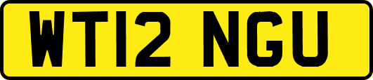 WT12NGU