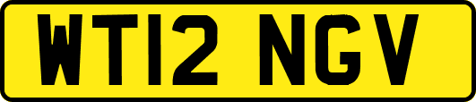 WT12NGV