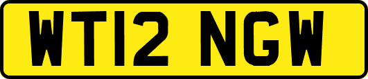 WT12NGW