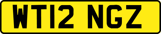 WT12NGZ