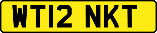 WT12NKT