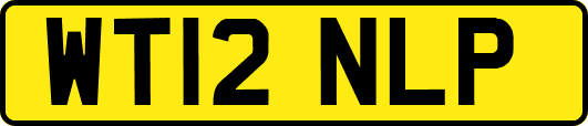 WT12NLP