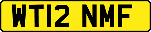 WT12NMF