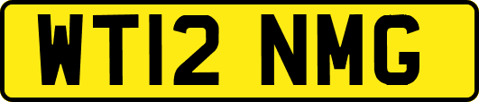 WT12NMG