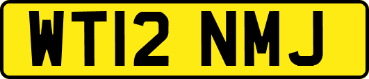WT12NMJ