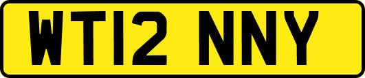 WT12NNY