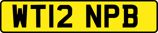 WT12NPB