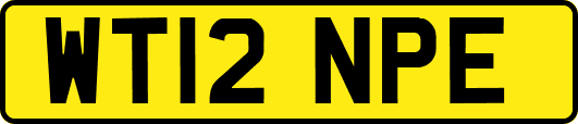 WT12NPE