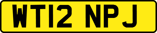 WT12NPJ
