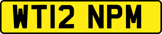 WT12NPM