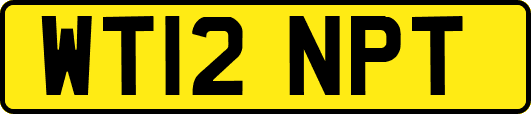 WT12NPT
