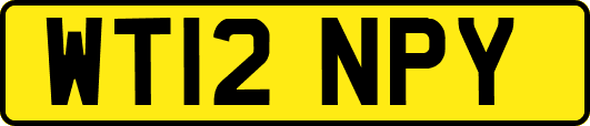 WT12NPY