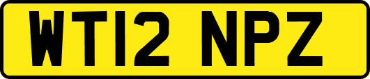 WT12NPZ