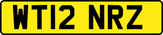 WT12NRZ
