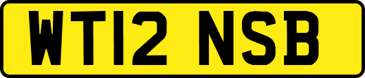 WT12NSB