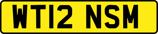 WT12NSM