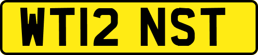 WT12NST