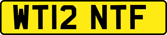 WT12NTF