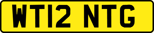 WT12NTG