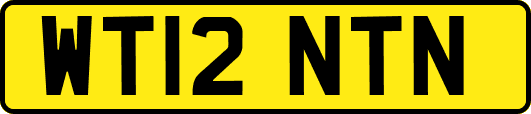 WT12NTN