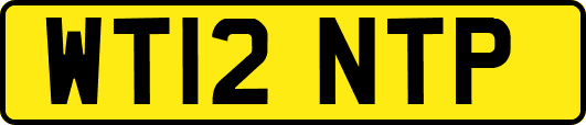 WT12NTP