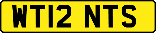 WT12NTS