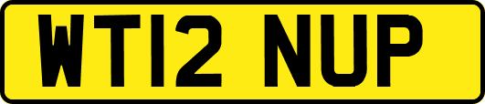 WT12NUP