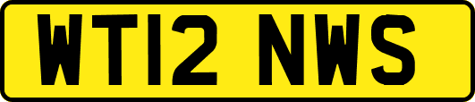 WT12NWS