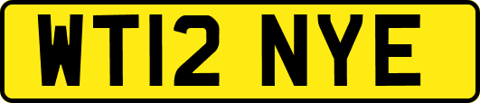 WT12NYE