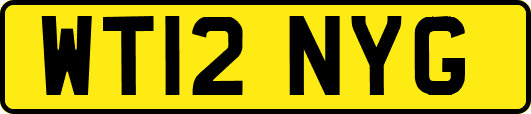 WT12NYG