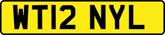 WT12NYL