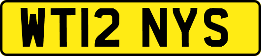 WT12NYS