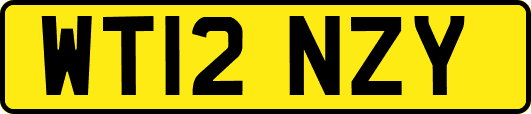 WT12NZY