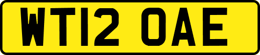 WT12OAE