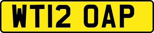 WT12OAP